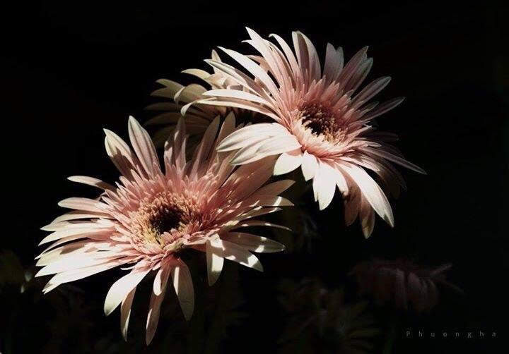 Trường THCS Văn Quán khẳng định vị thế  bằng chất lượng giáo dục toàn diện